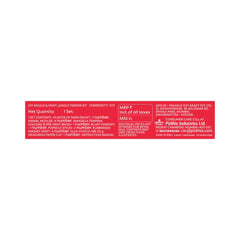 Mould & Paint Fevicreate Kit for Resin Art & DIY Craft Making