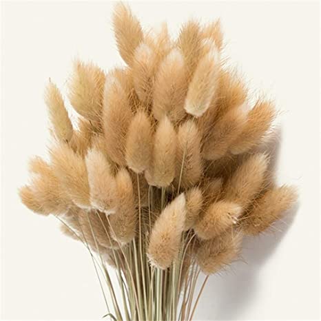 Bunny Tail Dried Flowers (Lagurus) for Resin Art, Decor & DIY Crafts