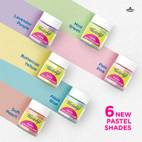 Fevicryl Multi Surface Pastel Acrylic Colours Kit 6 Shades  | Ideal For Wood, Glass, Canvas, Metal, Plastic, Mould It | For Hobbyists, Artists, Diy Art And Craft