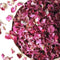 Dry Rose Petals 25g Pack for Resin Art, Candle Making & Decor