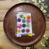 DAISY MULTICOLOR DRY PRESSED FLOWERS