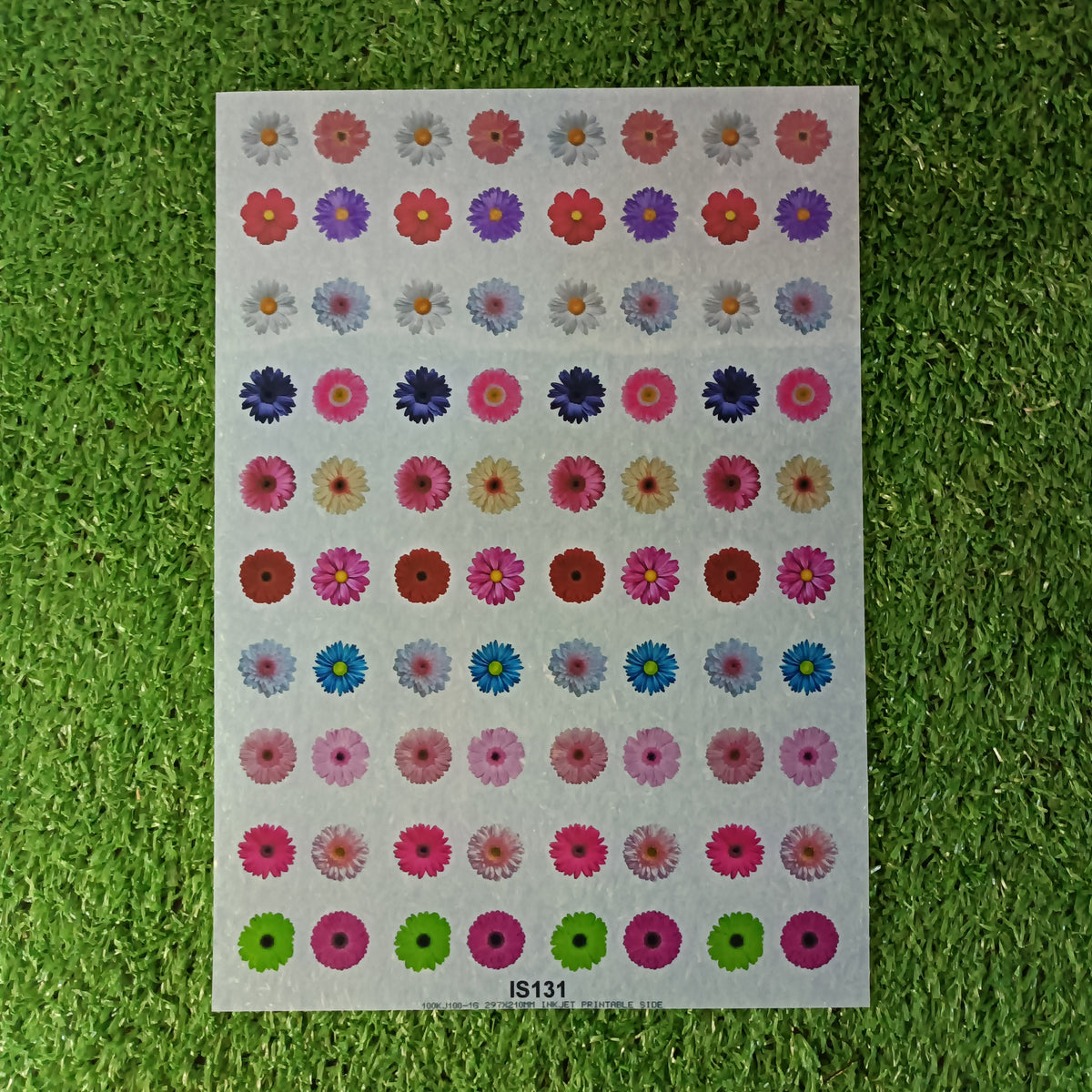 Insert Sheet IS131 Daisy Flower