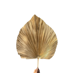 Golden Jumbo Spear Palm Leave 1 pc