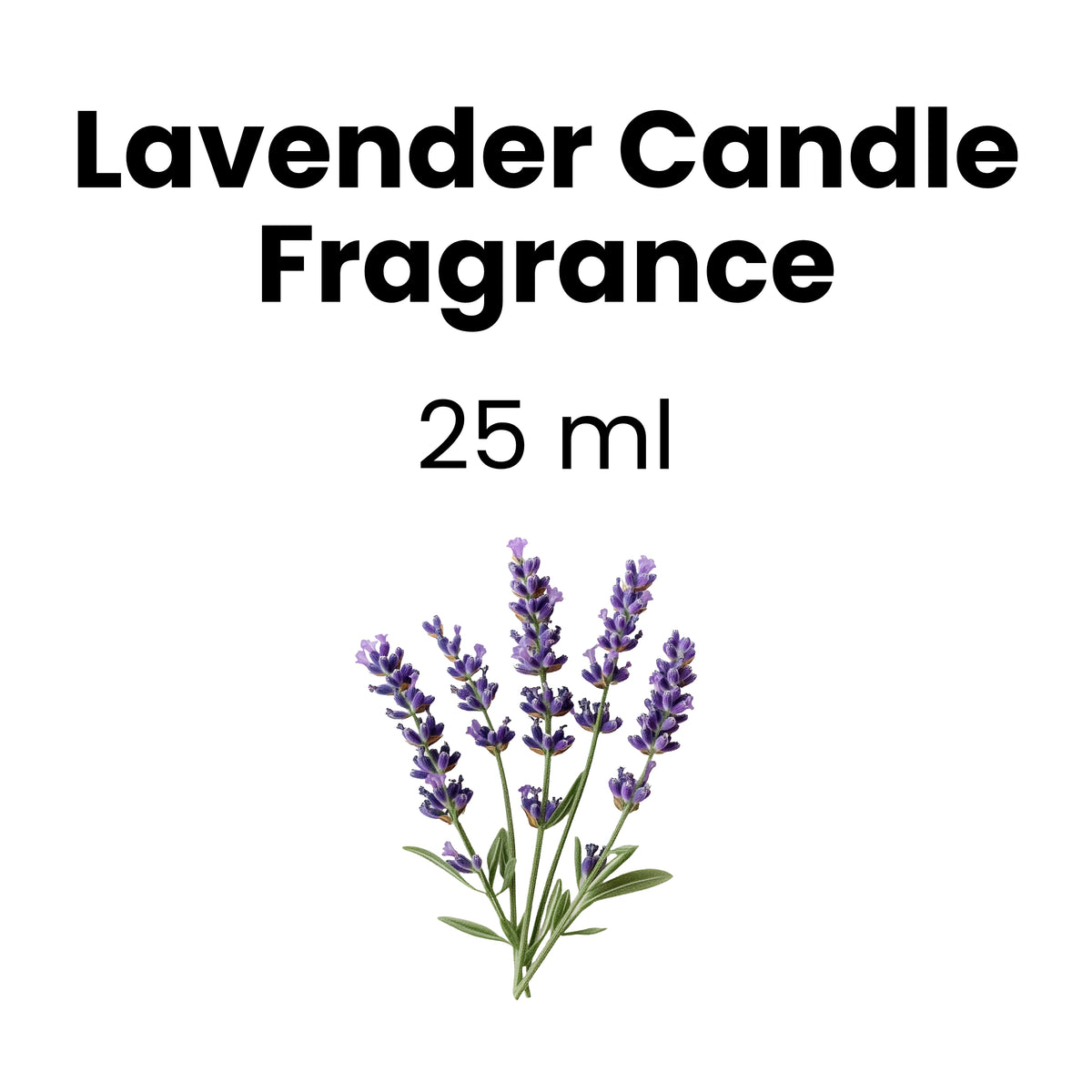 Lavender Candle Fragrance 25 ML