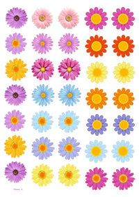 Daisy MULTI FLOWERS INSERT SHEET A4 (CIS big - 5)