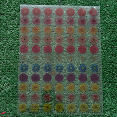 MULTI FLOWERS INSERT SHEET 4