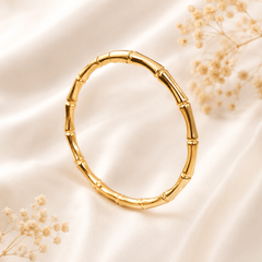 Premium Anti Tarnish Gold-Plated Bangle Bracelet for Women