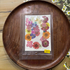 DRY PRESSED MULTI MIX FLOWERS