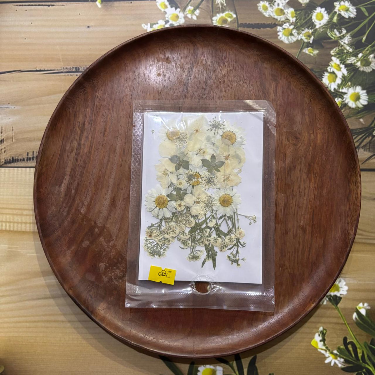 DRY PRESSED FLOWER WHITE MULTI STYLE