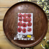 DAISY RED DRY PRESSED FLOWERS