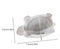 Small Turtle Mould