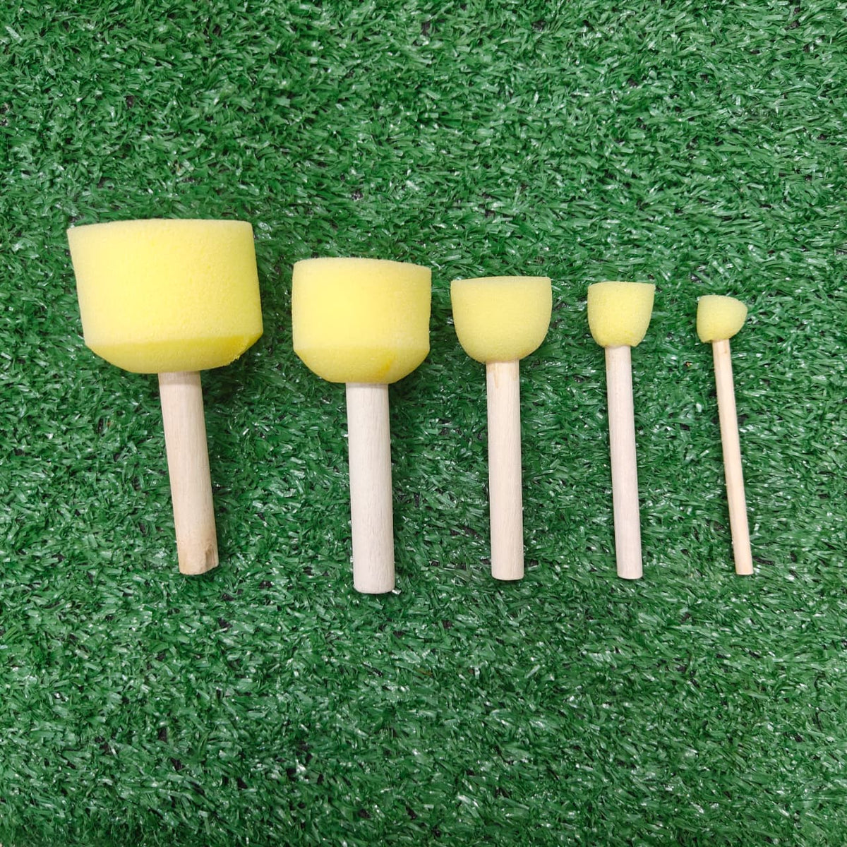 5 Pc. sponge
