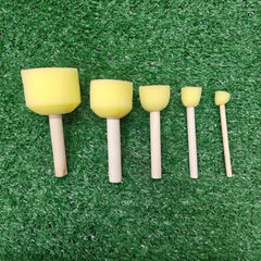 5 Pc. sponge