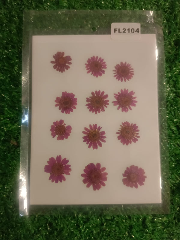 Mini lavender daisy pressed flower