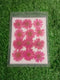 Magenta daisy pressed flower