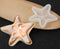 Starfish Plate / Tray Mould (Small)