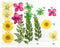 10 in 1 Pressed Flower Set FL009 for Resin Art, DIY Craft & Nail Art