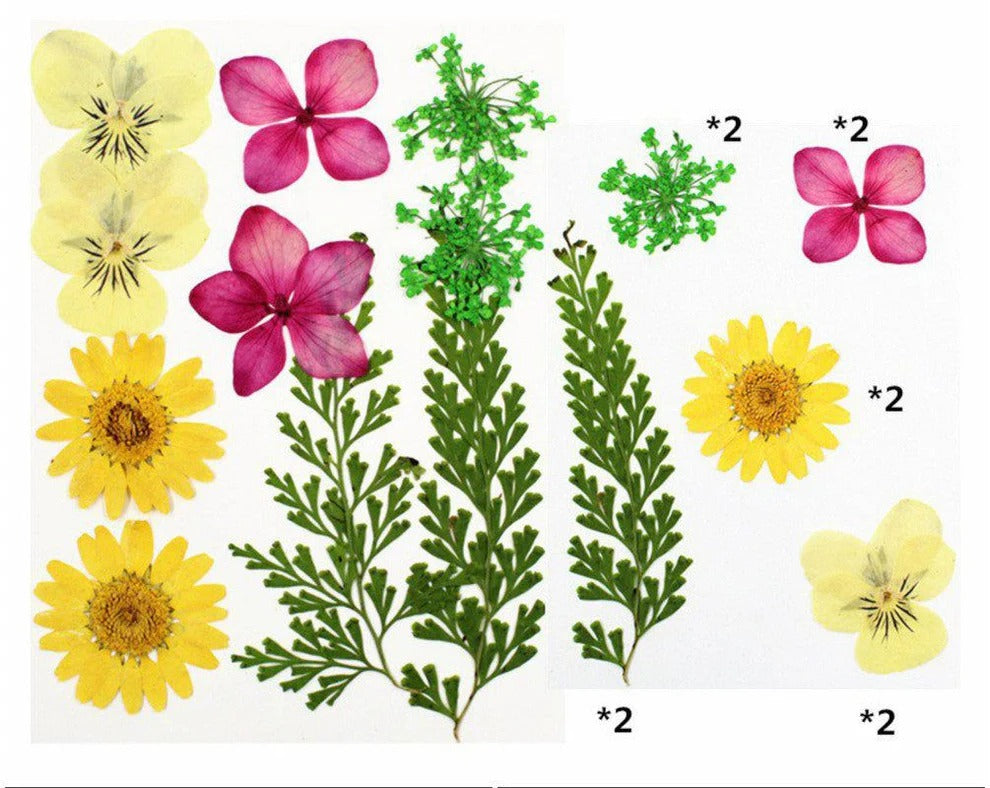 10 in 1 Pressed Flower Set FL009 for Resin Art, DIY Craft & Nail Art