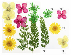 10 in 1 Pressed Flower Set FL009 for Resin Art, DIY Craft & Nail Art