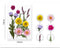 12 in 1 Pressed Flower Set for Resin Art, DIY Craft & Jewelry Making