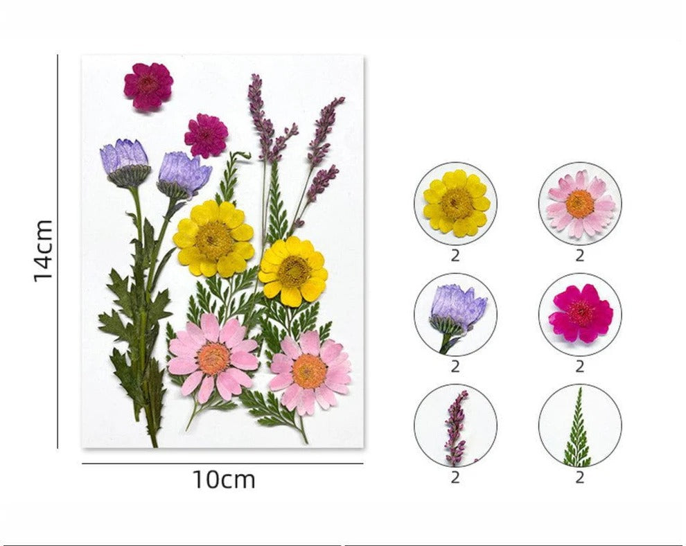 12 in 1 Pressed Flower Set for Resin Art, DIY Craft & Jewelry Making