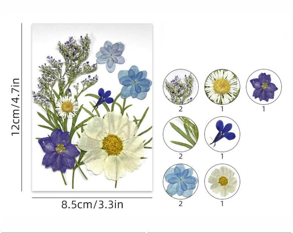 10 in 1 Pressed Flower Set FL175 for Resin Art, Nail Art & DIY Crafts
