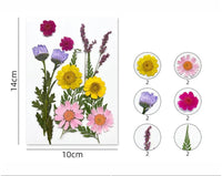12 in 1 Pressed Flower Set for Resin Art, DIY Craft & Jewelry Making