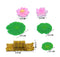 Miniature Lotus Pond Theme 6 Pc Set