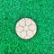 Ball Theme MDF Keychain (3 Inch) for DIY Art & Craft