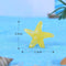 Starfish Miniature