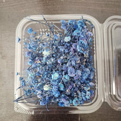 Baby’s Breath Dried Flowers for Resin Art & Decor