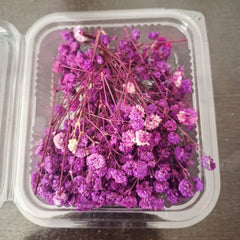 Baby’s Breath Dried Flowers for Resin Art & Decor