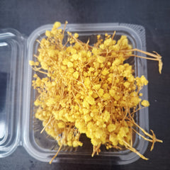 Baby’s Breath Dried Flowers for Resin Art & Decor