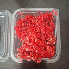 Baby’s Breath Dried Flowers for Resin Art & Decor
