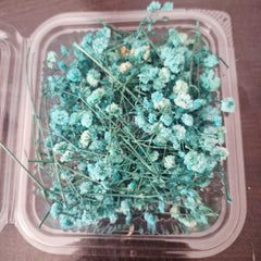 Baby’s Breath Dried Flowers for Resin Art & Decor