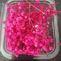 Baby’s Breath Dried Flowers for Resin Art & Decor