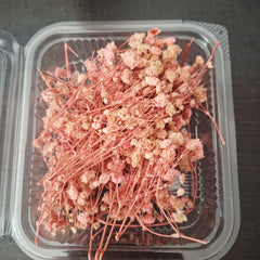 Baby’s Breath Dried Flowers for Resin Art & Decor