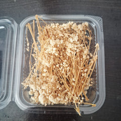 Baby’s Breath Dried Flowers for Resin Art & Decor