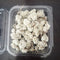 Daisy Dried Flowers for Resin Art, Candle Making & Home Decor