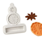 Cinnamon Orange and Star Anise Mould for candle