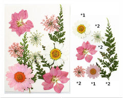 10 in 1 pink color Dry Pressed Flower for Resin Art Candle Art