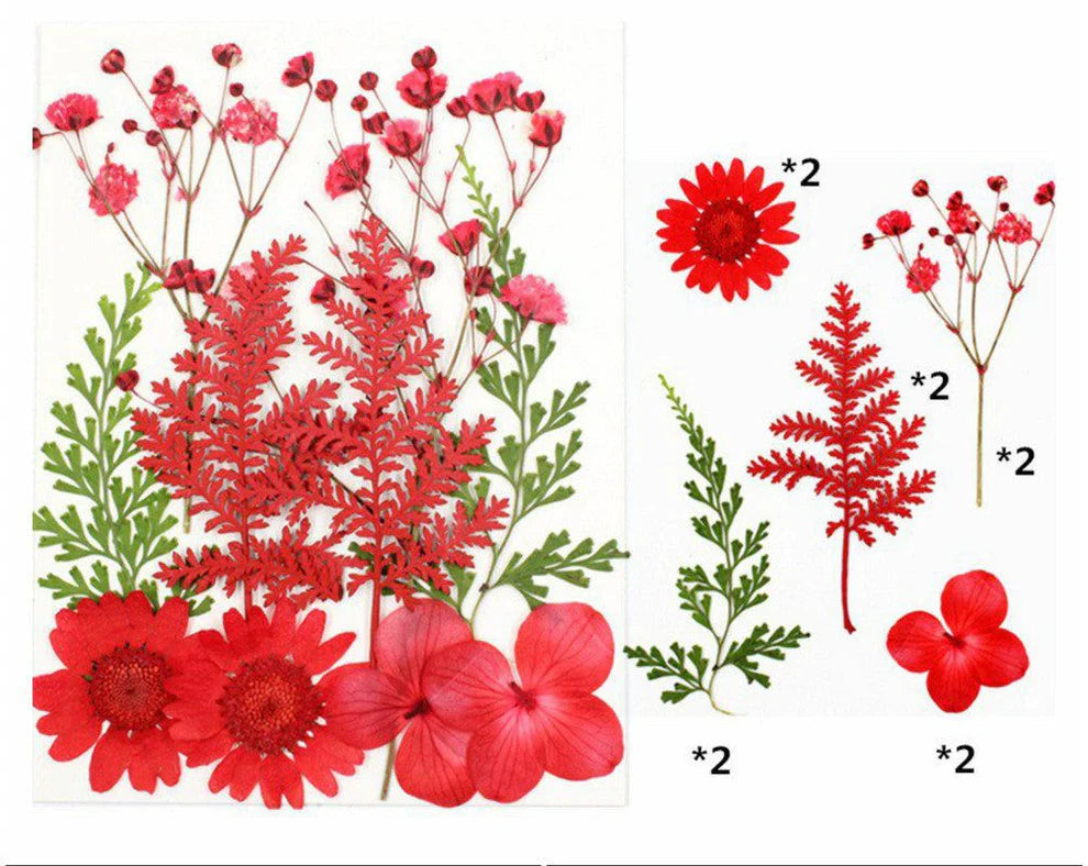 10 in 1 Red Color Dry Pressed Flowers for Resin art