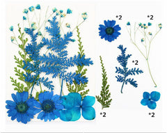12 in 1 Blue Color Dry Pressed Flowers for Resin Art
