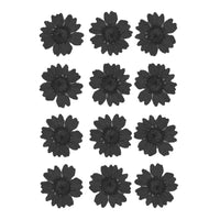 Daisy Pressed Black Flower