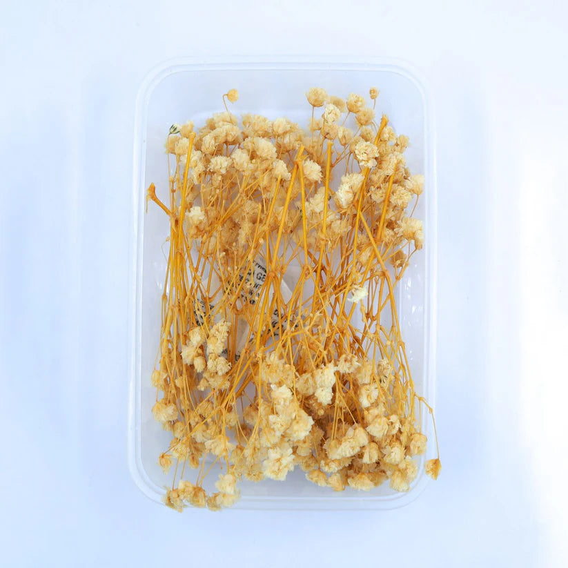 off white baby breath flower box