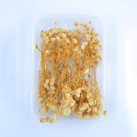 off white baby breath flower box