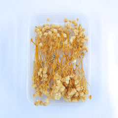 off white baby breath flower box