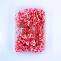 baby breath pink flower box