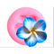 Plumeria embed small mould