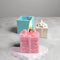 Gift Box Candle Mould